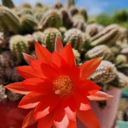 Rum i privatbostad Cosy