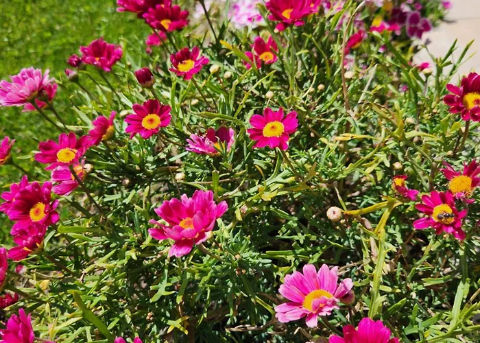 Cosy Rum i privatbostad *