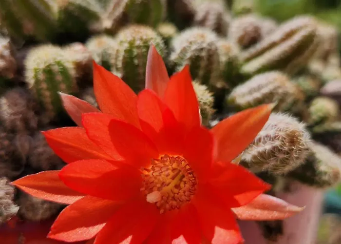 Rum i privatbostad Cosy