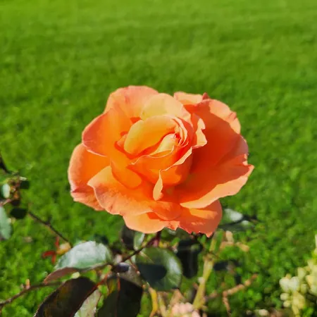 Séjour chez l'habitant Cosy Juillan