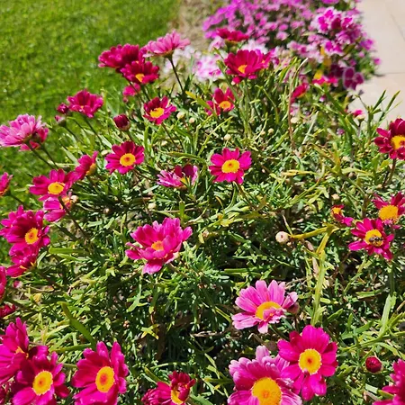Cosy Séjour chez l'habitant *